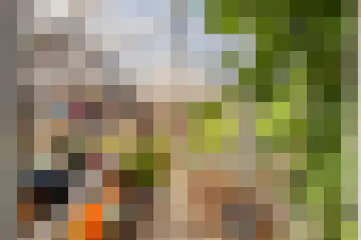 Dorpsweg 117 Hoogblokland thumbnail 13