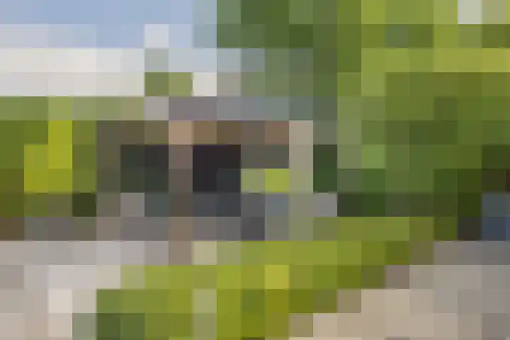 Dorpsweg 117 Hoogblokland thumbnail 14