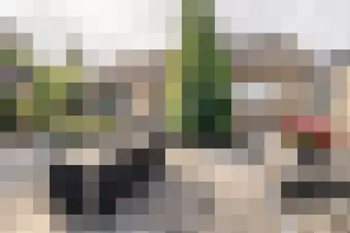 Dorpsweg 117 Hoogblokland thumbnail 15