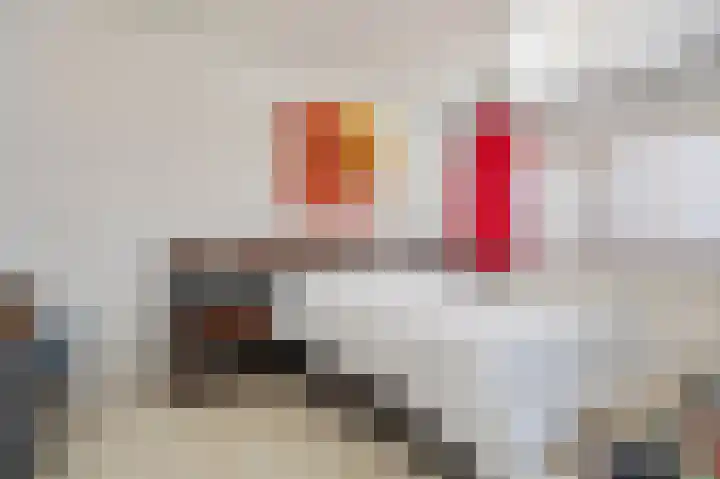 Dorpsweg 117 Hoogblokland thumbnail 19