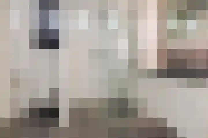 Dorpsweg 117 Hoogblokland thumbnail 22