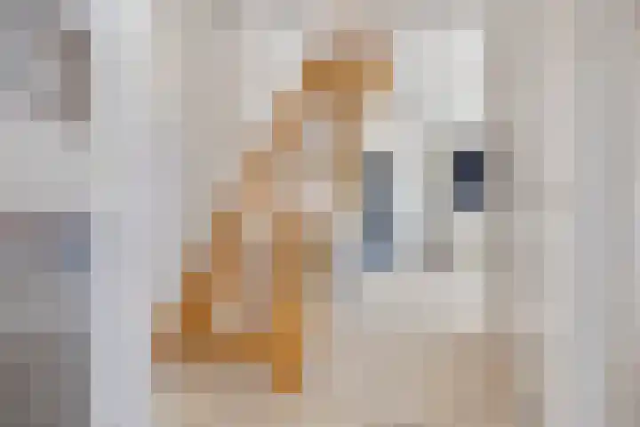 Dorpsweg 117 Hoogblokland thumbnail 24