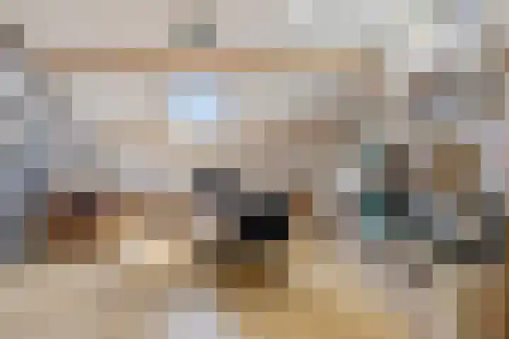 Dorpsweg 117 Hoogblokland thumbnail 26