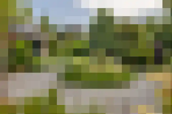 Dorpsweg 117 Hoogblokland thumbnail 31