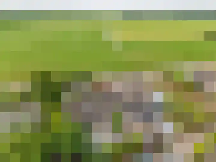 Dorpsweg 117 Hoogblokland thumbnail 33