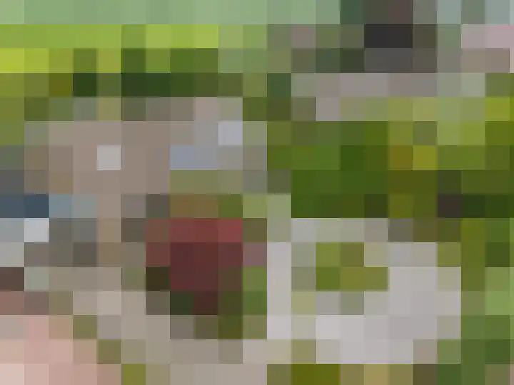 Dorpsweg 117 Hoogblokland thumbnail 4