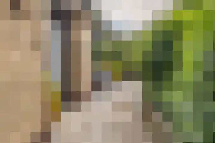 Dorpsweg 117 Hoogblokland thumbnail 5