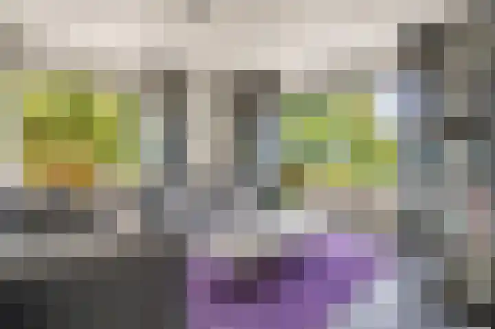 Dorpsweg 117 Hoogblokland thumbnail 7