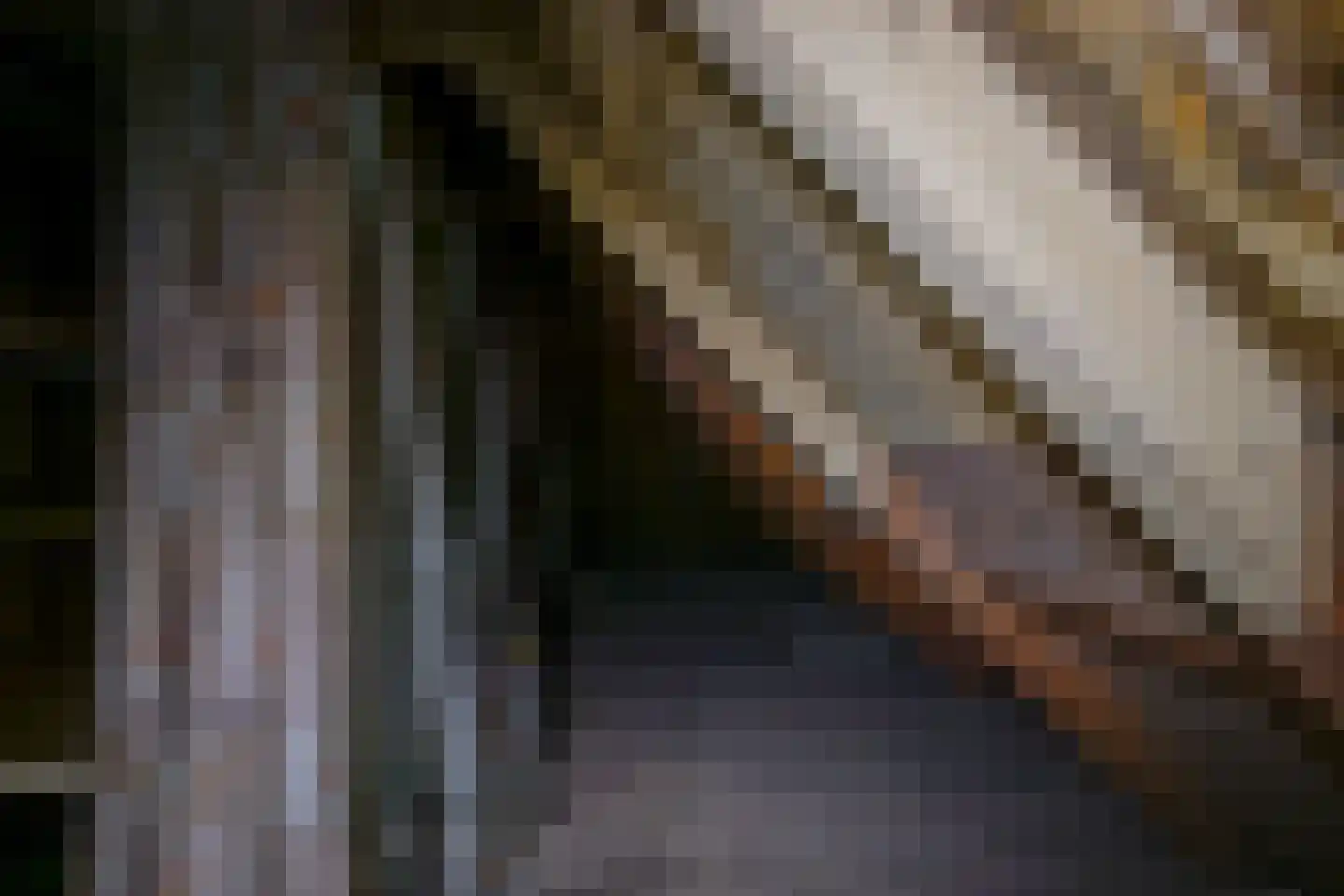 Dorpsweg 117 Twisk thumbnail 26