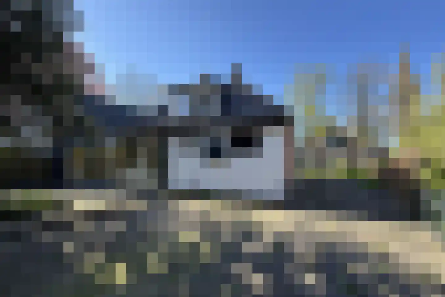 Dorpsweg 117 Twisk thumbnail 30