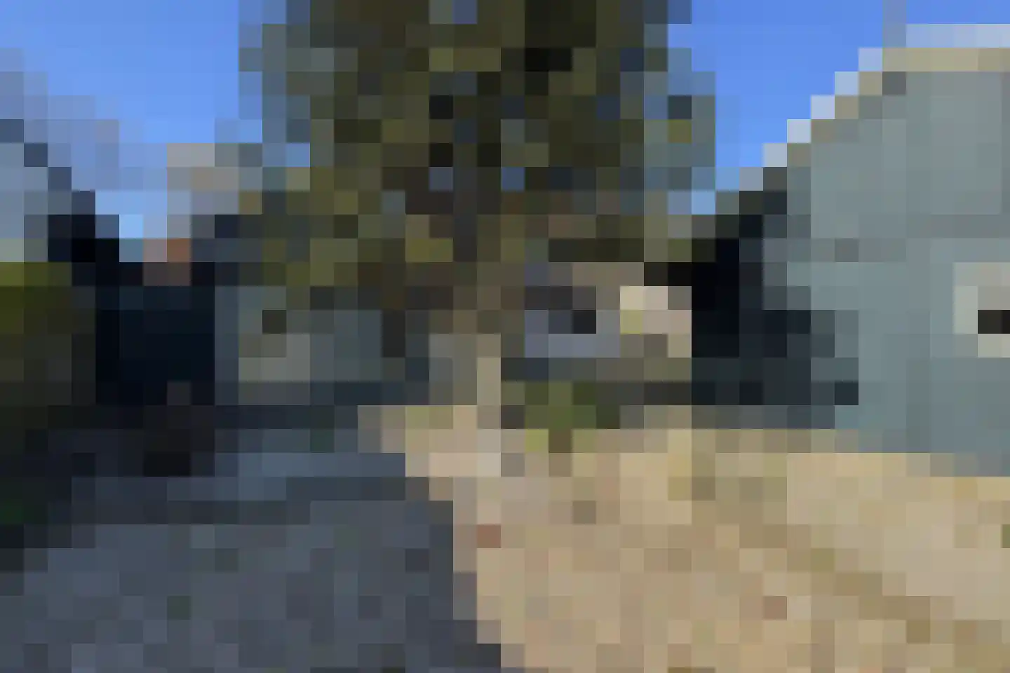 Dorpsweg 117 Twisk thumbnail 32