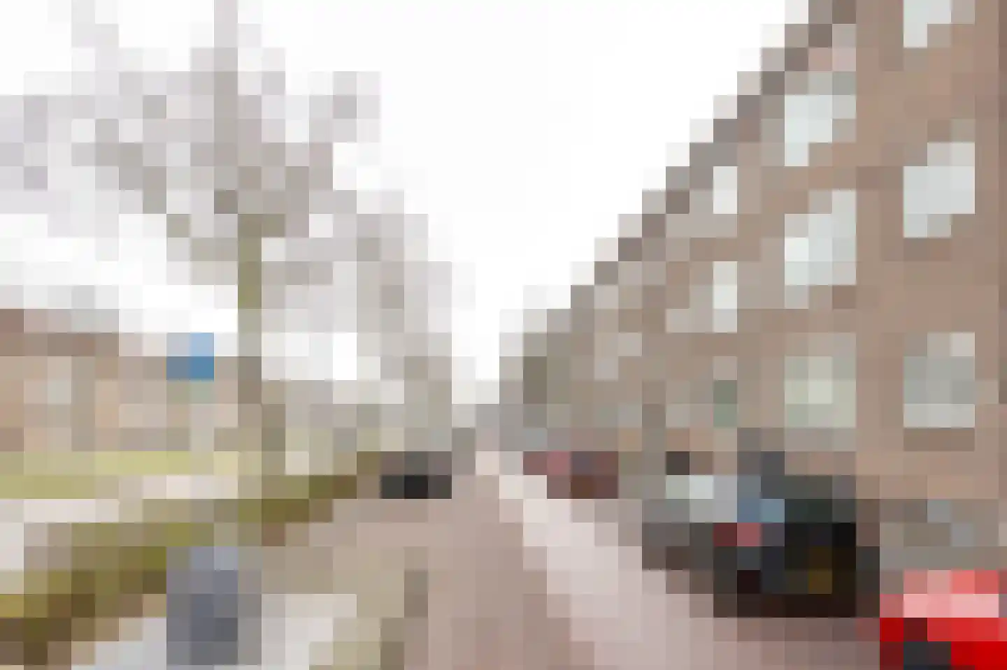 Dorpsweg 119 C Rotterdam thumbnail 22