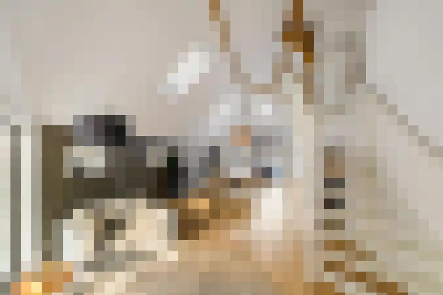 Dorpsweg 12 Donderen thumbnail 11