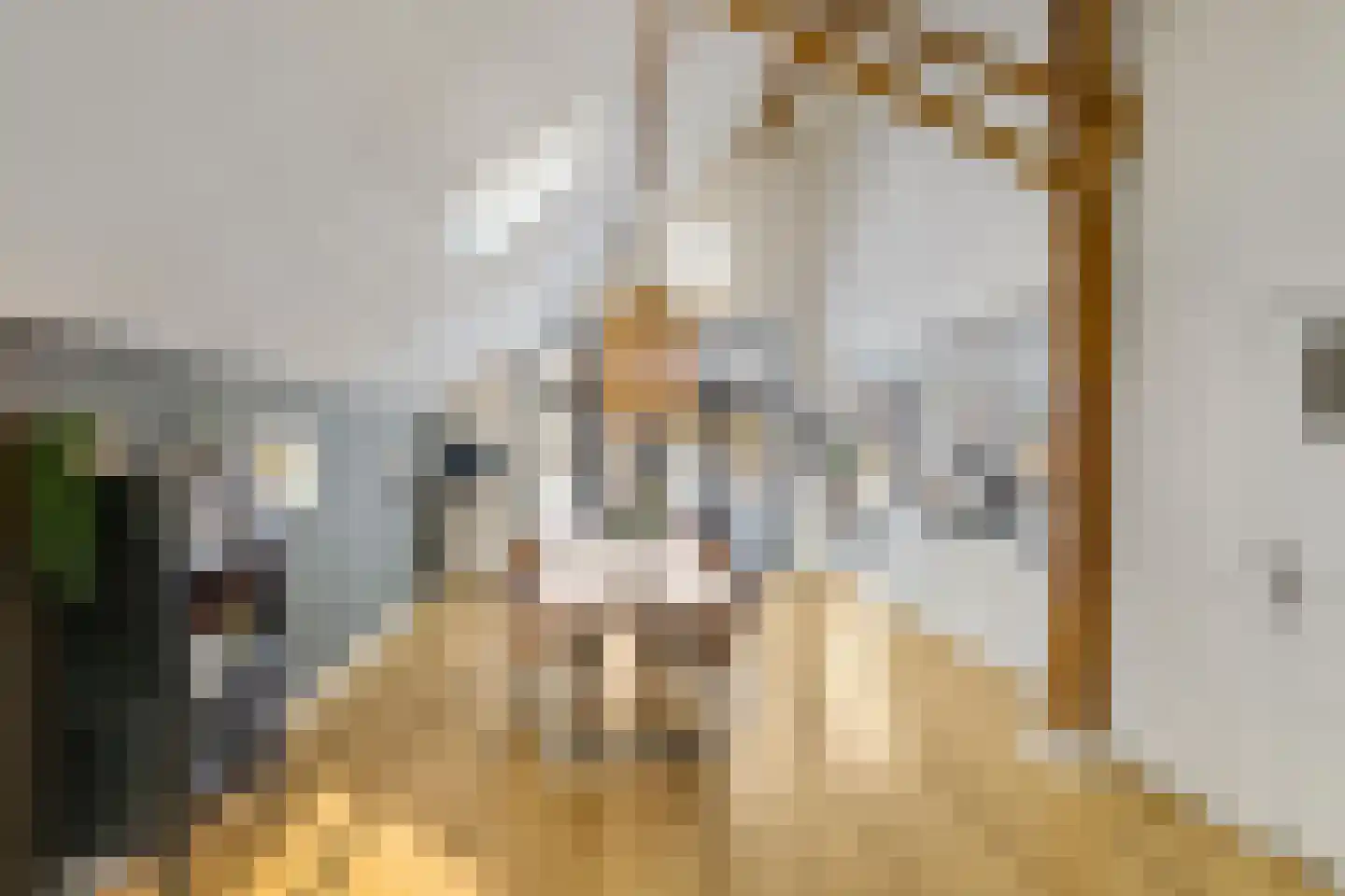 Dorpsweg 12 Donderen thumbnail 12