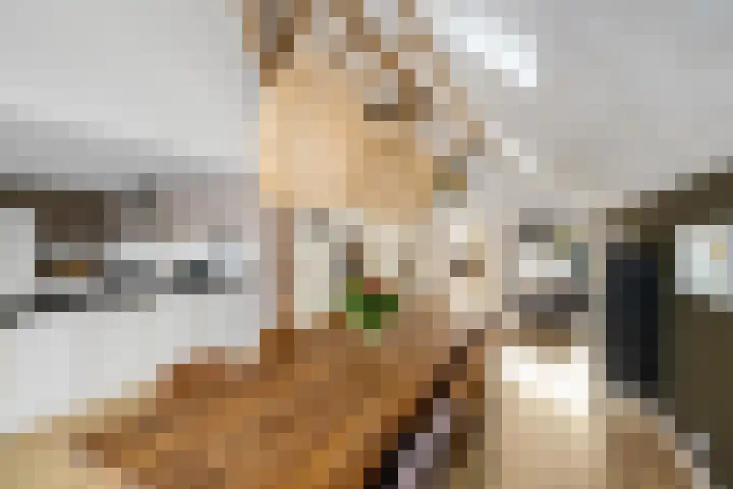 Dorpsweg 12 Donderen thumbnail 13