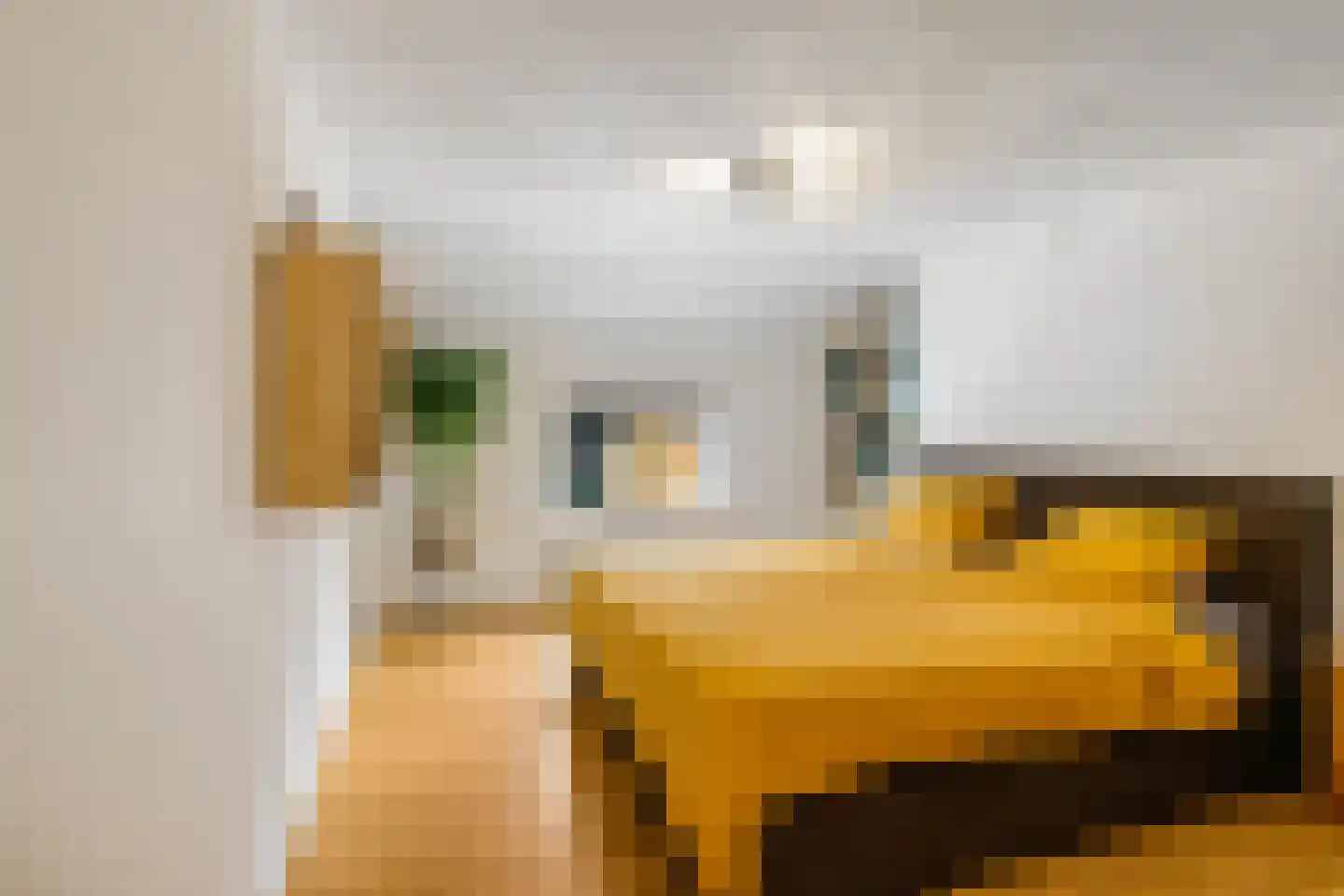 Dorpsweg 12 Donderen thumbnail 14