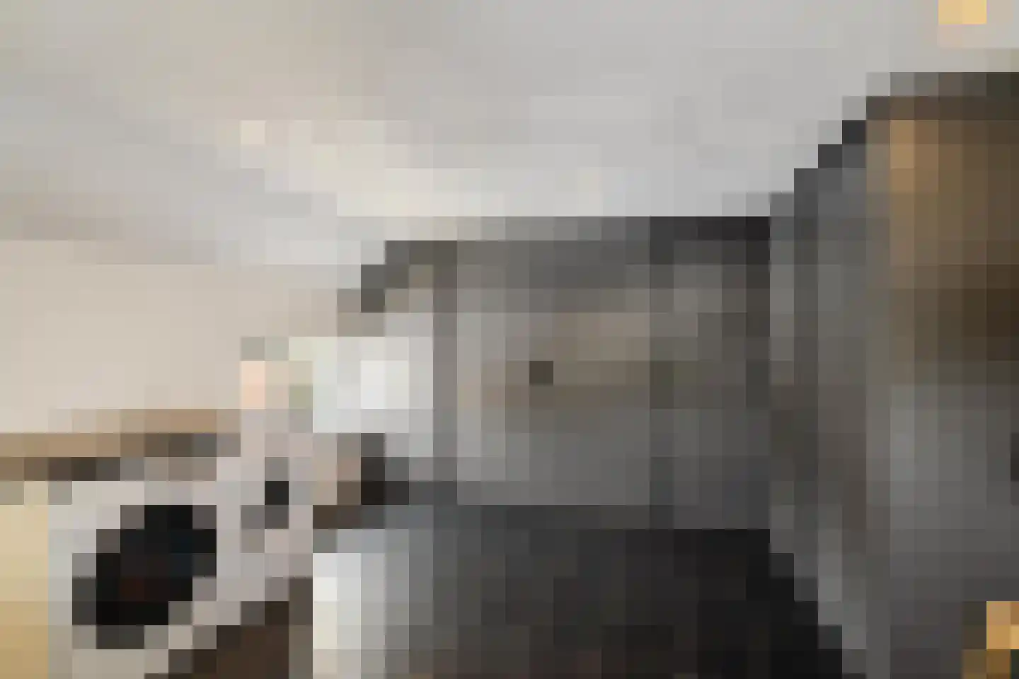 Dorpsweg 12 Donderen thumbnail 25