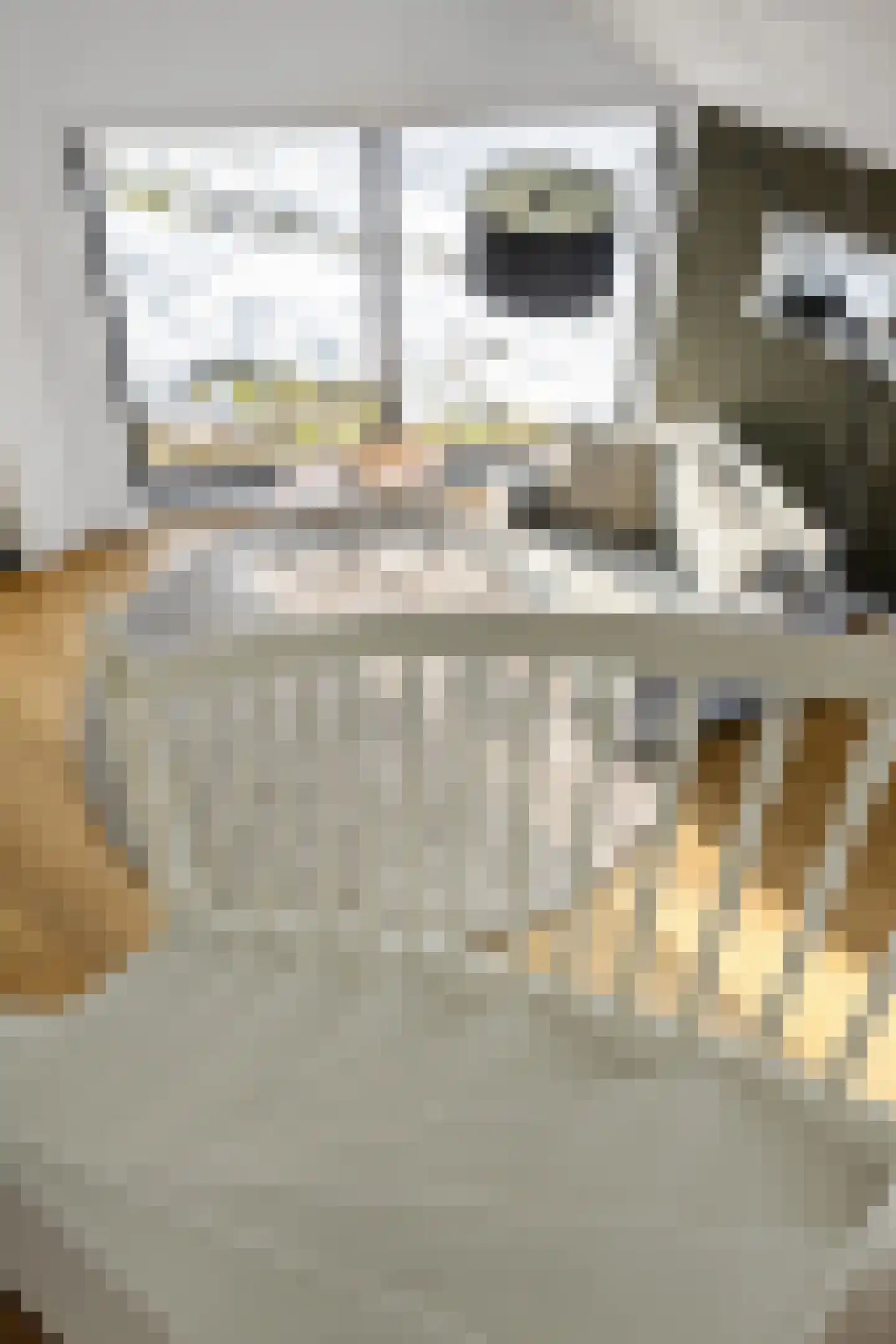 Dorpsweg 12 Donderen thumbnail 35