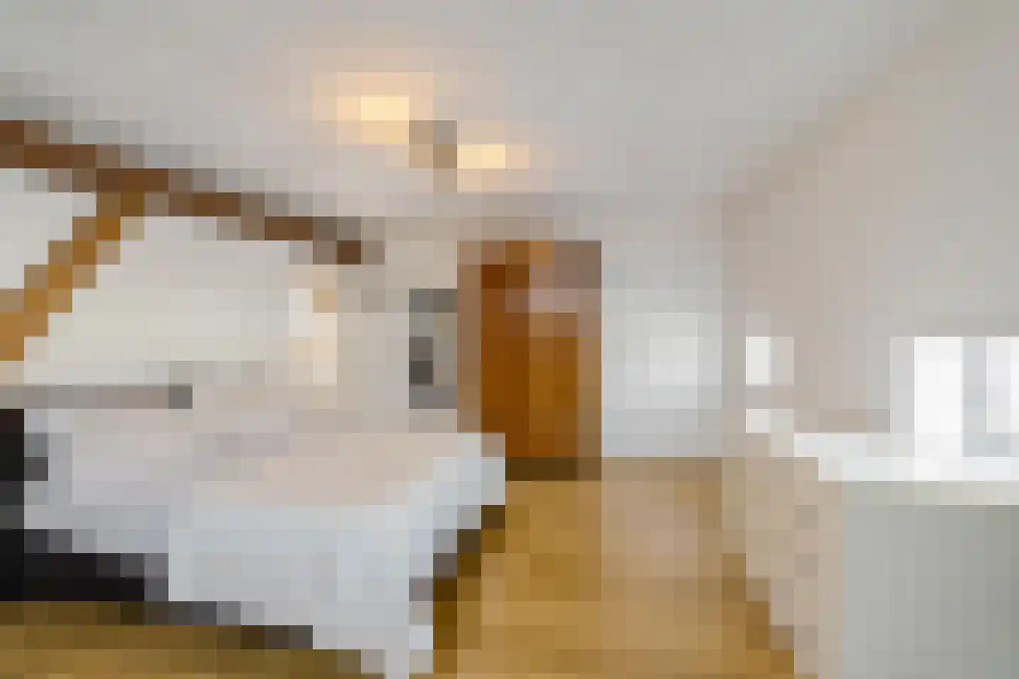 Dorpsweg 12 Donderen thumbnail 38
