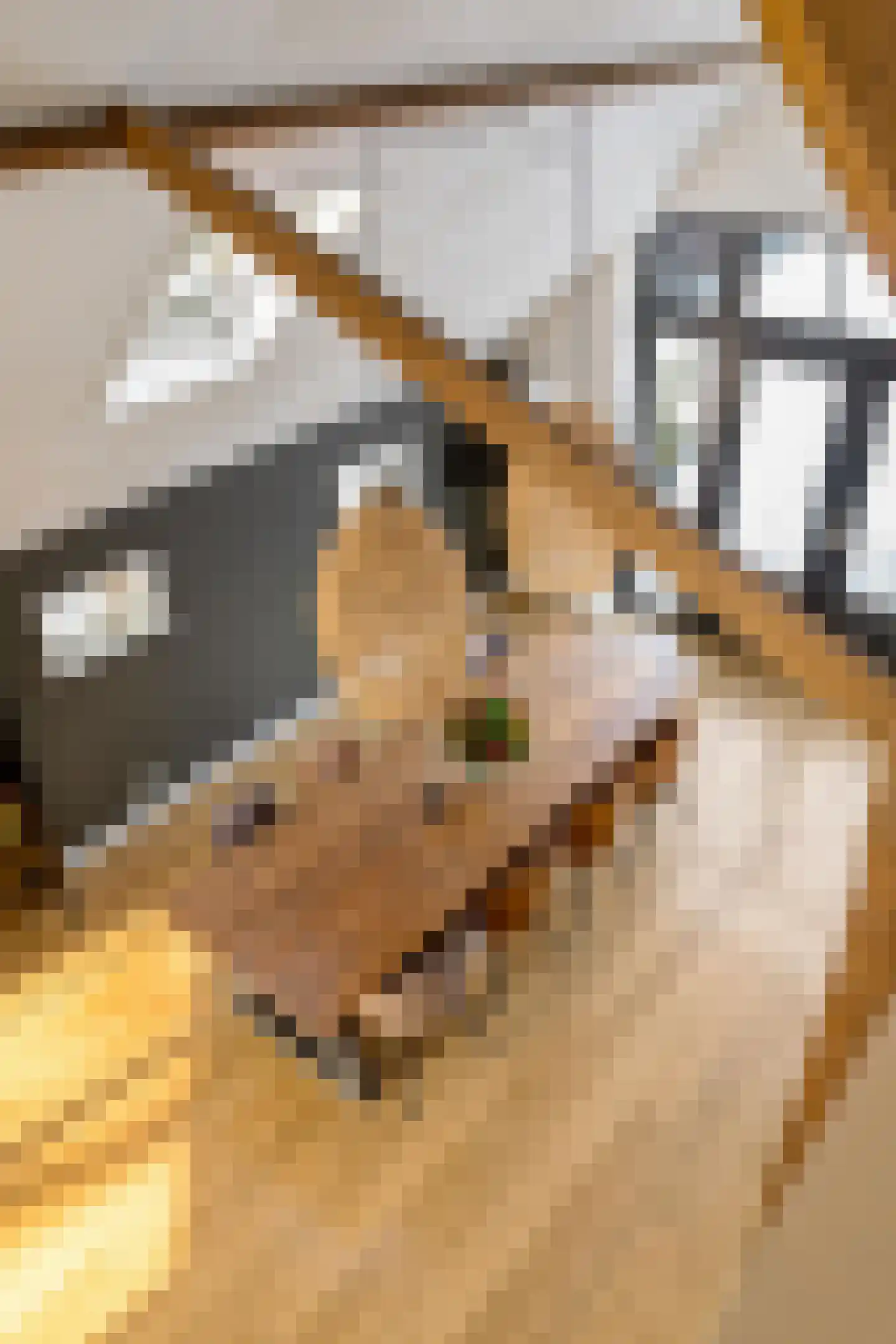 Dorpsweg 12 Donderen thumbnail 40
