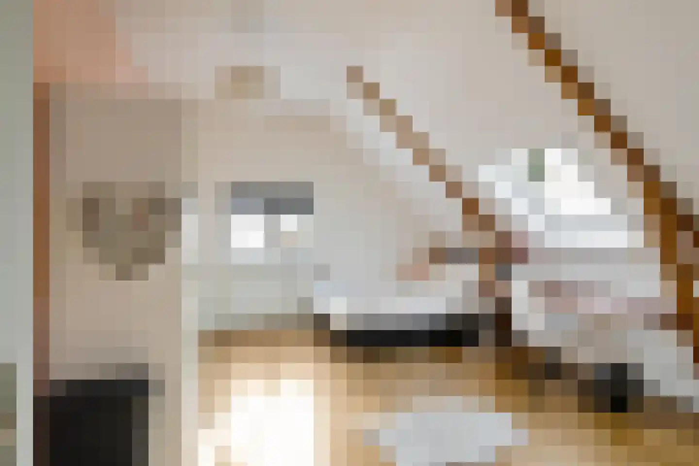 Dorpsweg 12 Donderen thumbnail 41