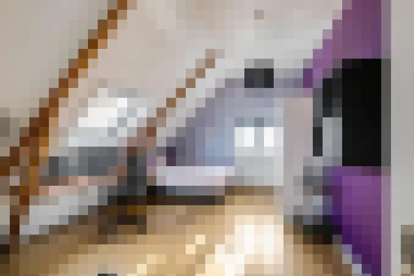 Dorpsweg 12 Donderen thumbnail 43