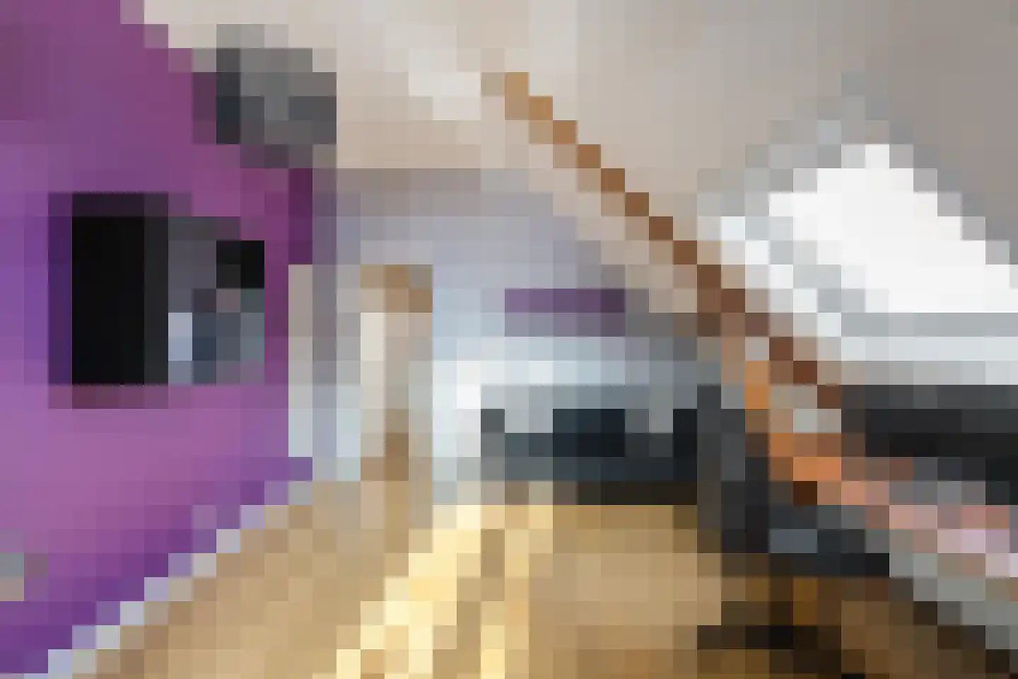 Dorpsweg 12 Donderen thumbnail 44