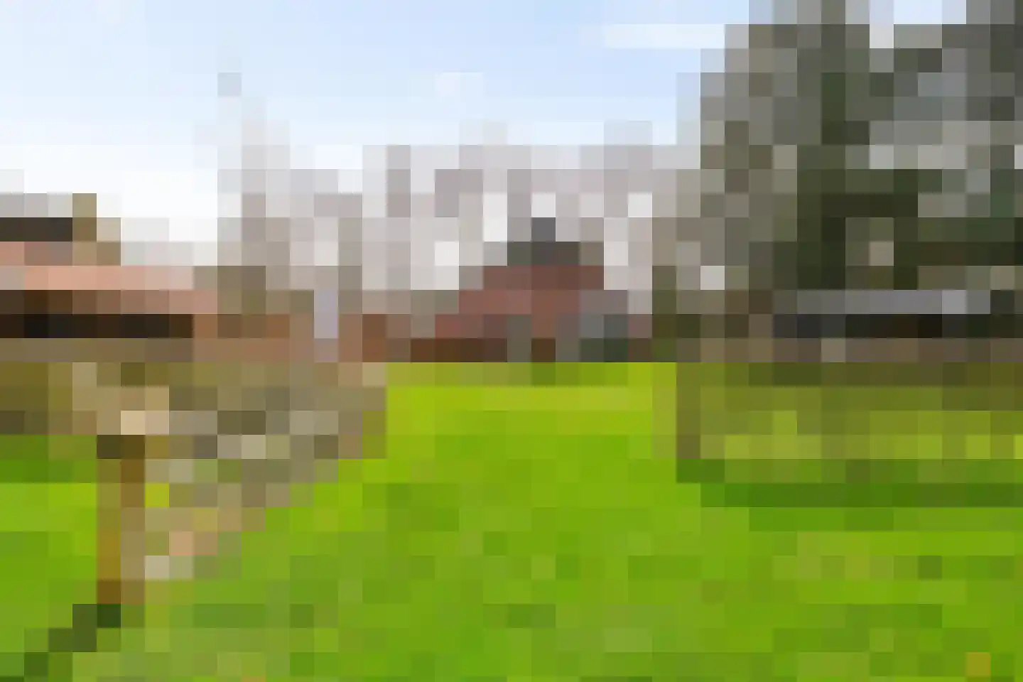 Dorpsweg 12 Donderen thumbnail 56