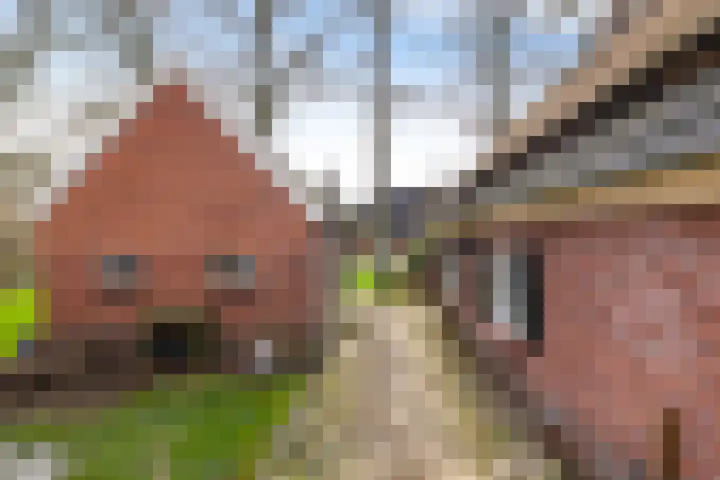 Dorpsweg 12 Donderen thumbnail 59