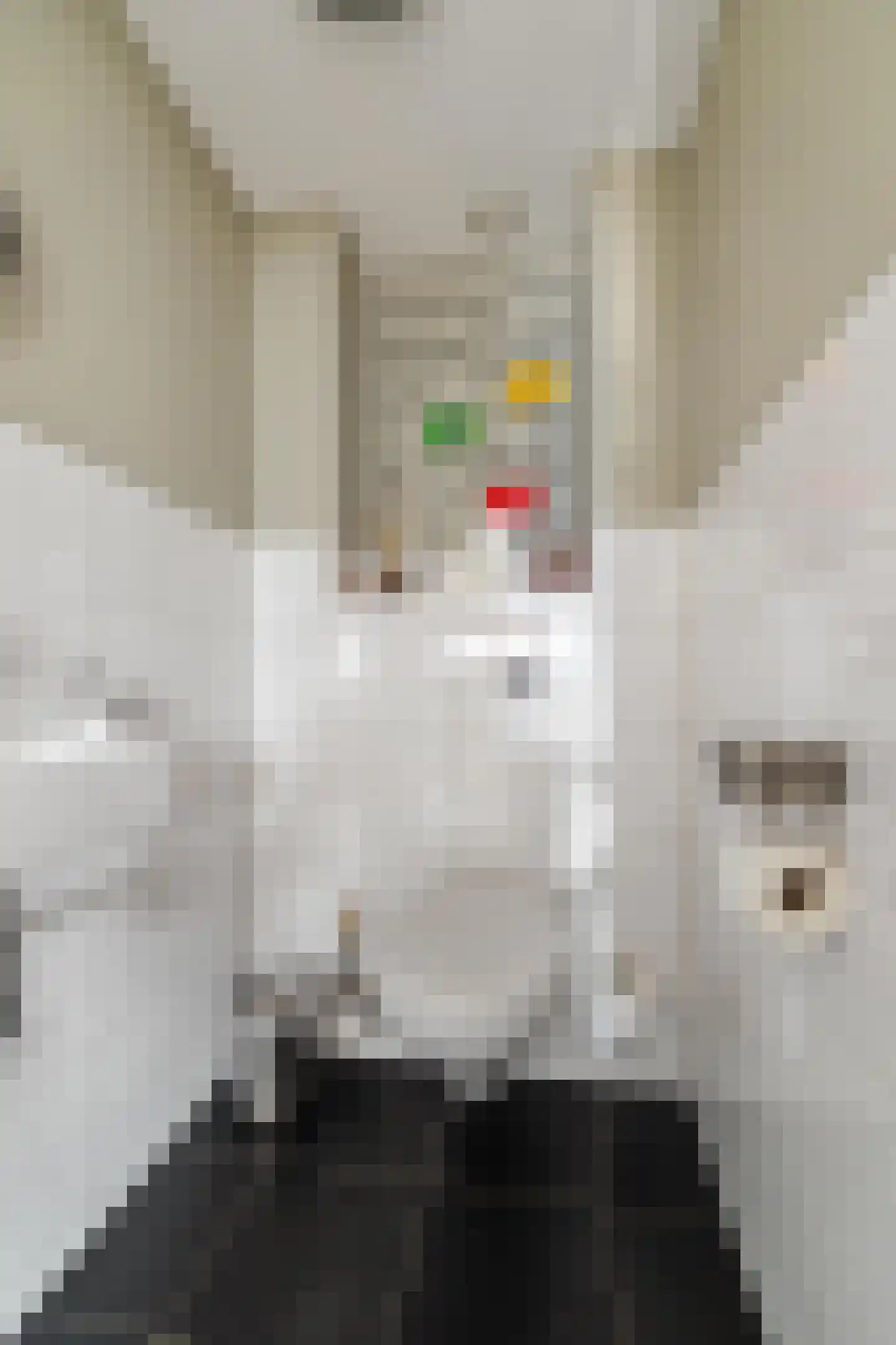 Dorpsweg 12 Donderen thumbnail 6