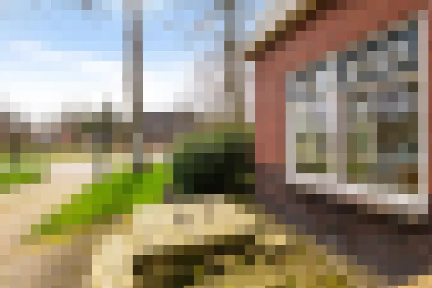 Dorpsweg 12 Donderen thumbnail 60
