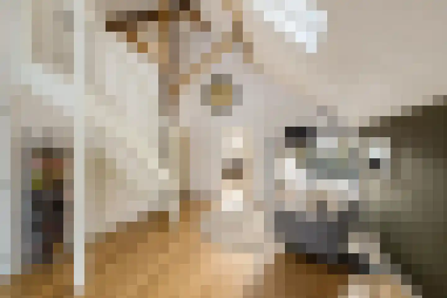 Dorpsweg 12 Donderen thumbnail 8