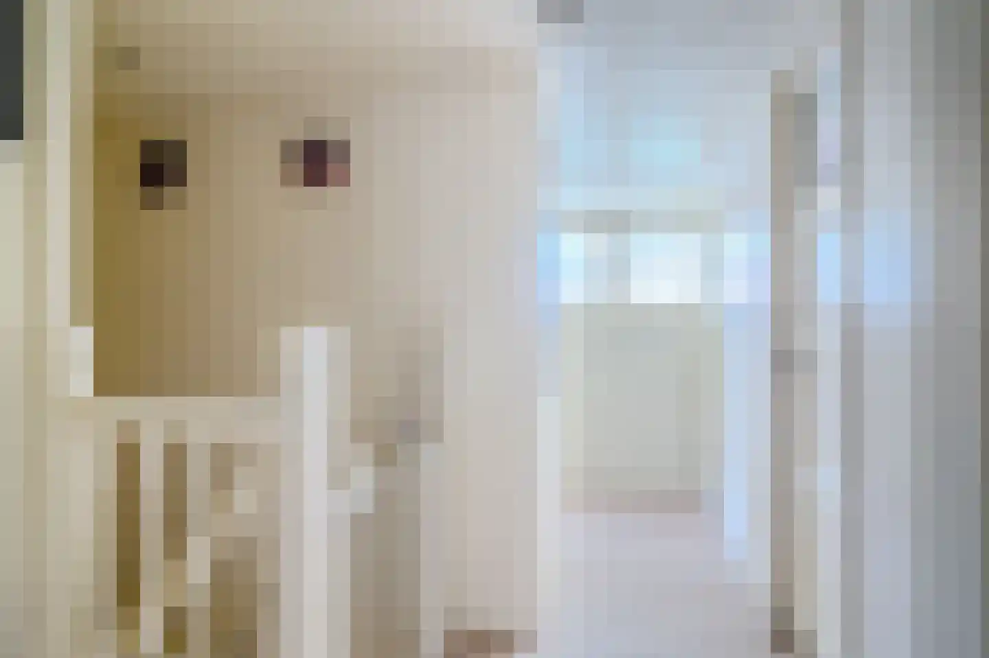 Dorpsweg 122 Schellinkhout thumbnail 21
