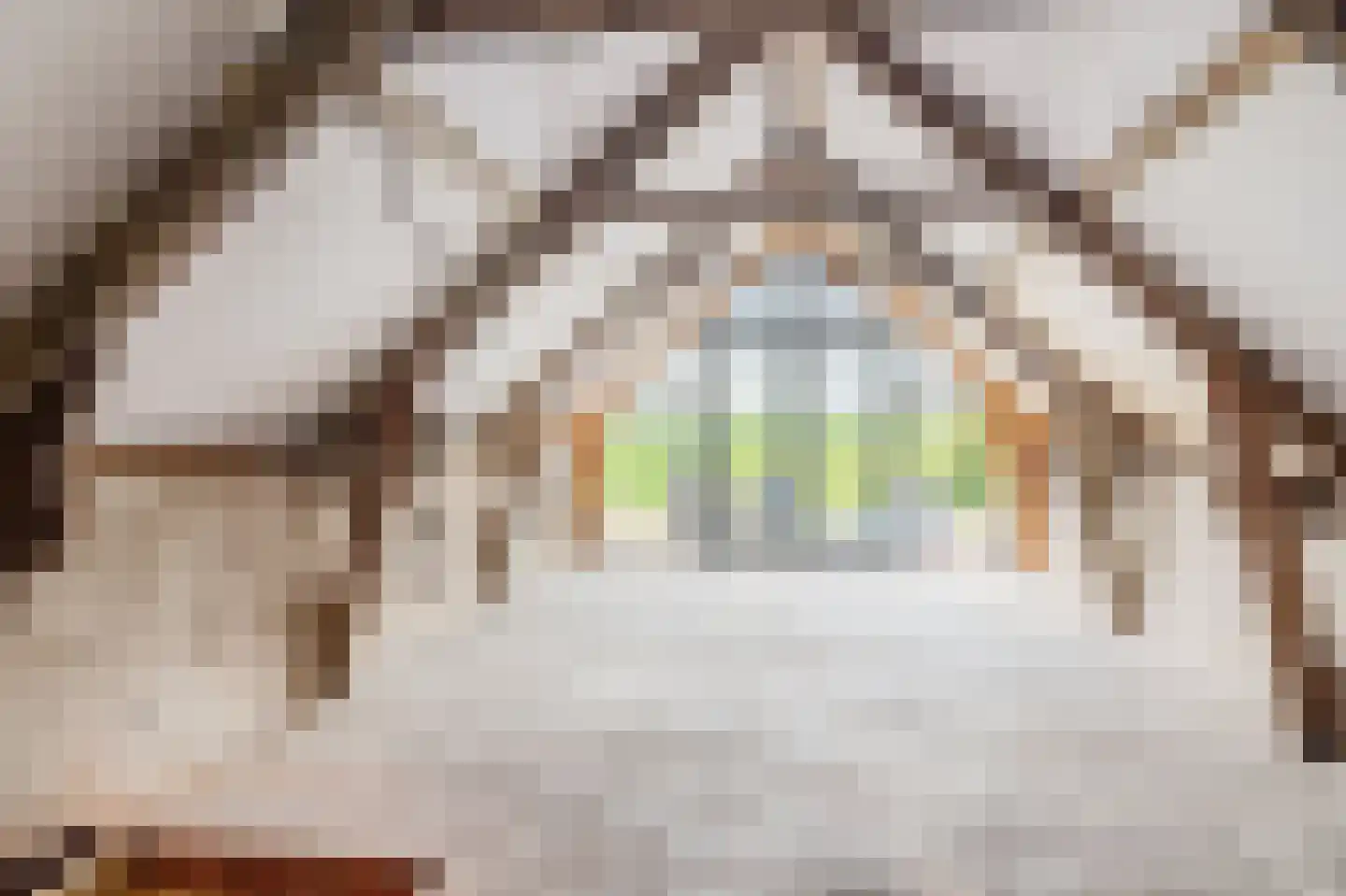 Dorpsweg 122 Schellinkhout thumbnail 34