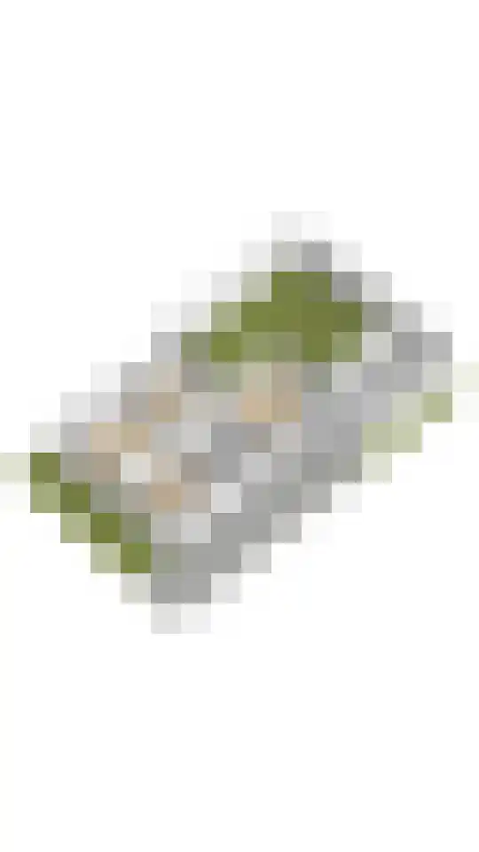 Dorpsweg 122 Schellinkhout thumbnail 46
