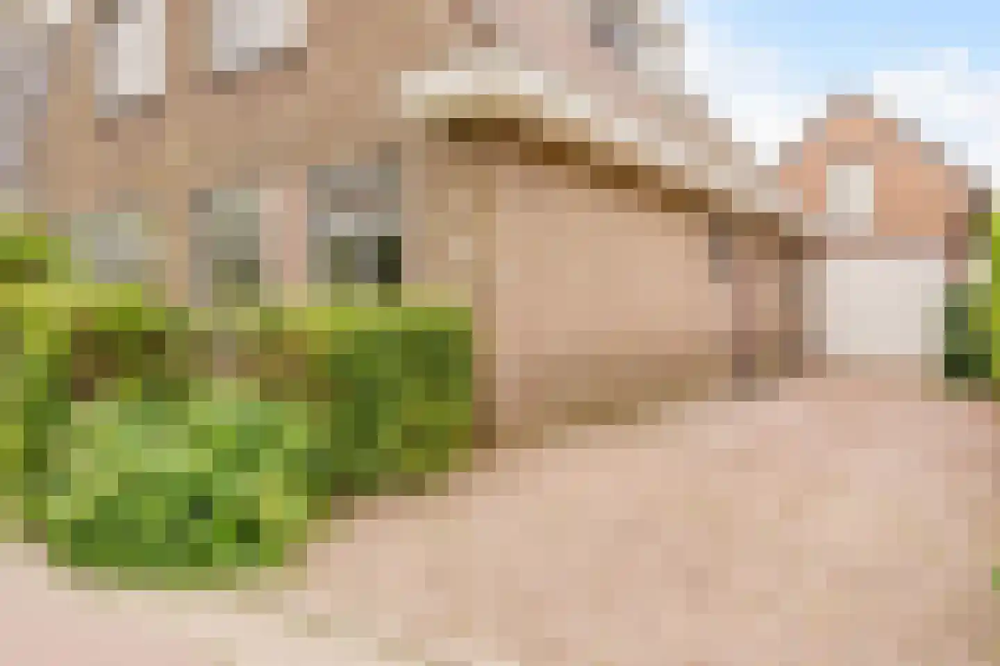 Dorpsweg 122 Schellinkhout thumbnail 5