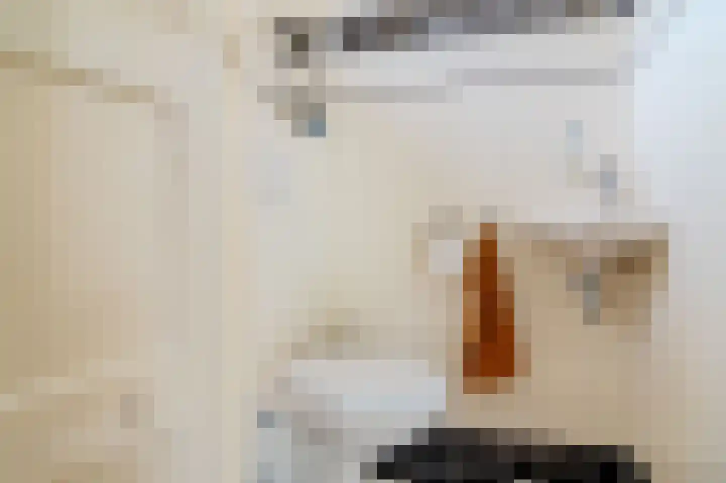 Dorpsweg 122 Schellinkhout thumbnail 9