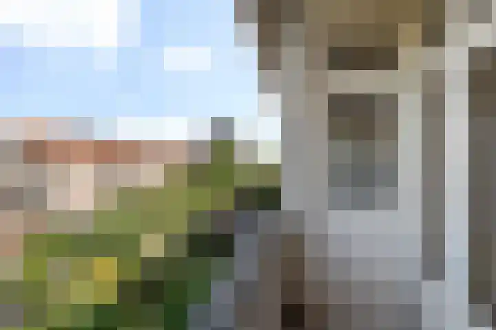 Dorpsweg 123 A Rotterdam thumbnail 13