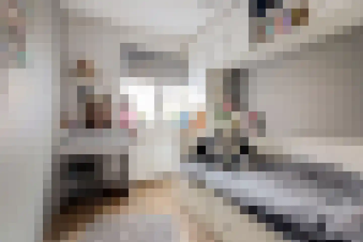 Dorpsweg 123 A Rotterdam thumbnail 21