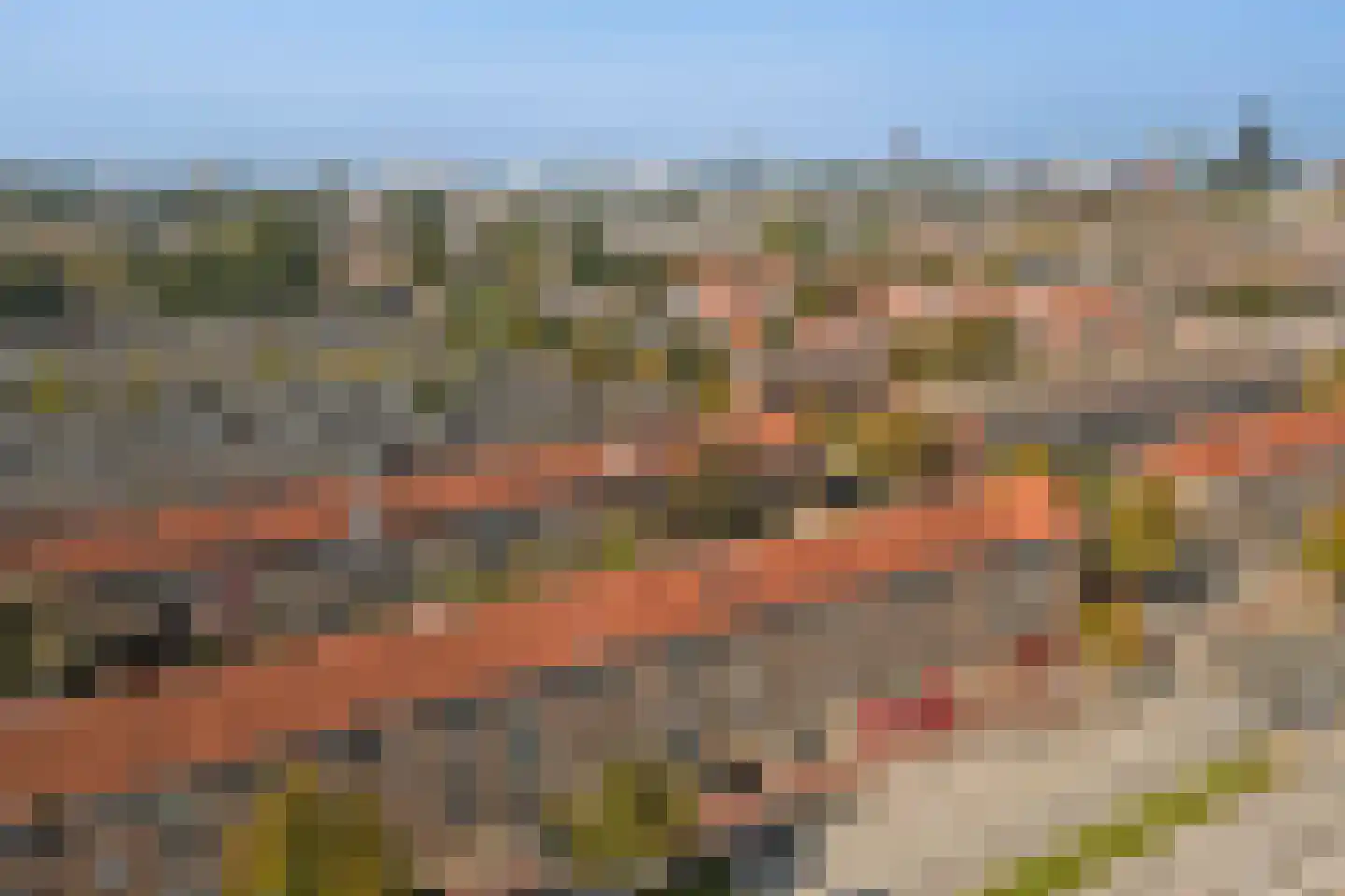 Dorpsweg 123 A Rotterdam thumbnail 45