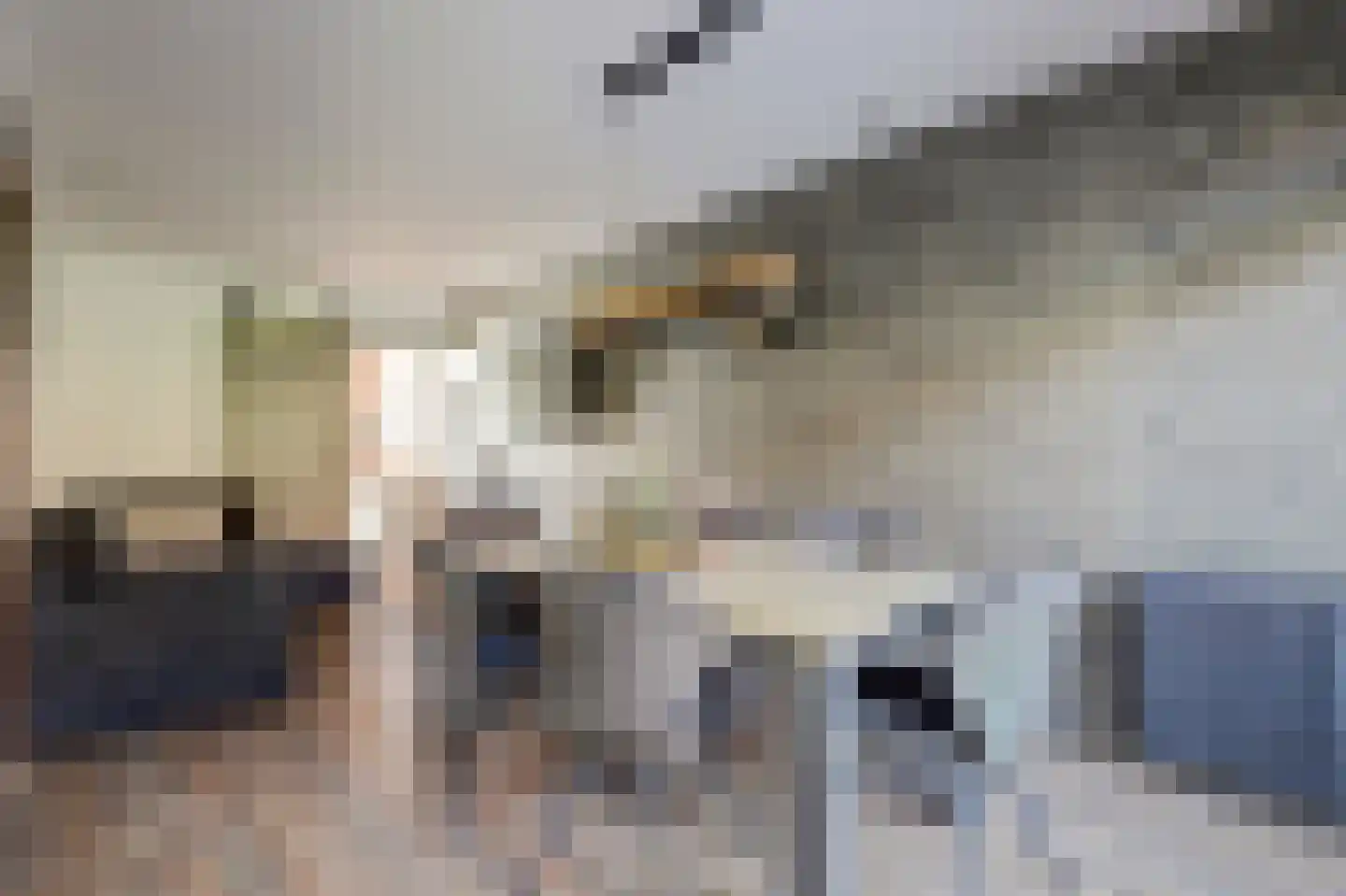 Dorpsweg 123 A Rotterdam thumbnail 5
