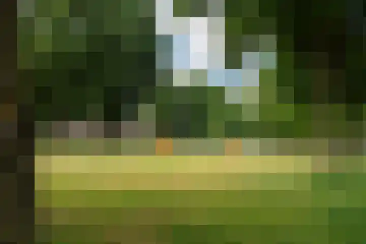 Dorpsweg 123 A Rotterdam thumbnail 6