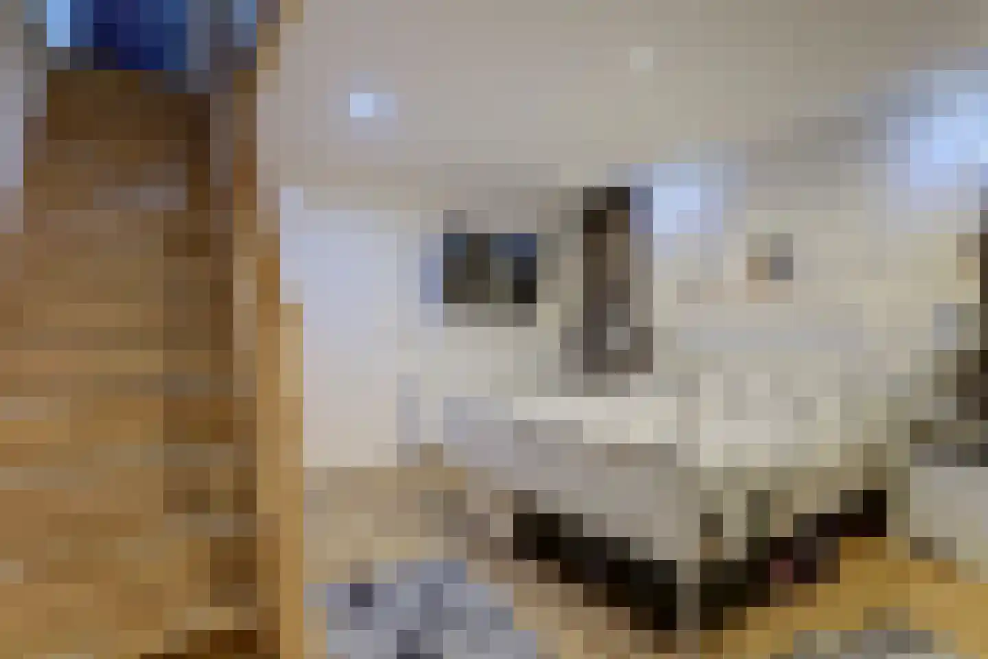 Dorpsweg 123 A Rotterdam thumbnail 7