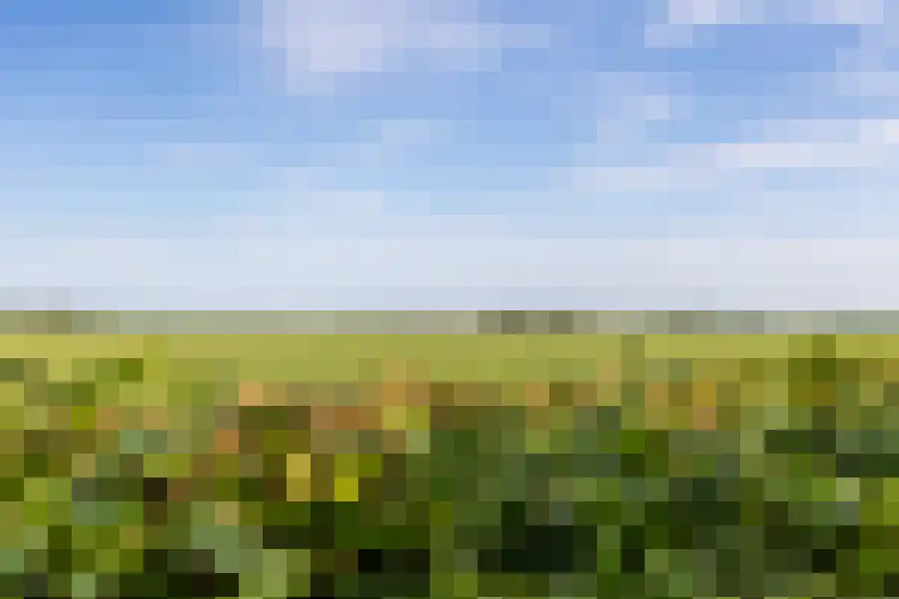 Dorpsweg 127 B Twisk thumbnail 40
