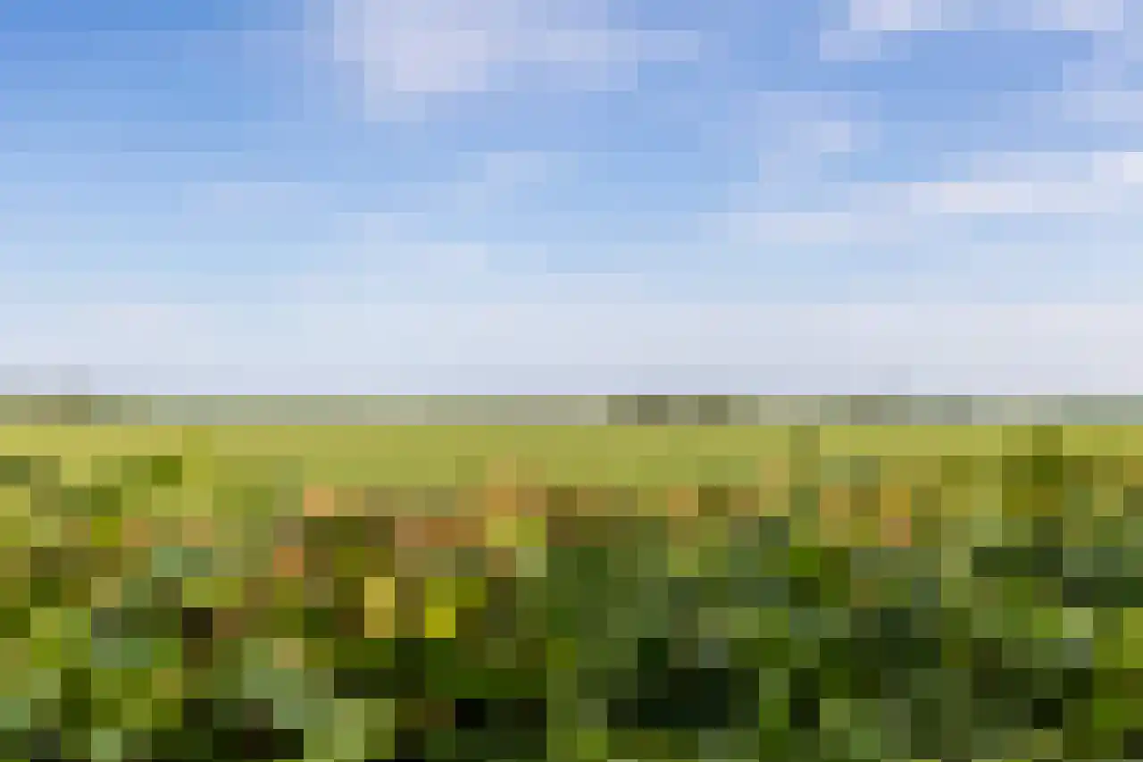 Dorpsweg 127 C Twisk thumbnail 44