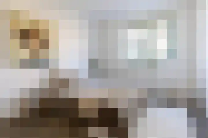Dorpsweg 127 D Twisk thumbnail 40