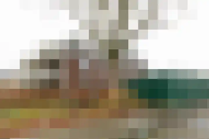 Dorpsweg 127 F Twisk thumbnail 30