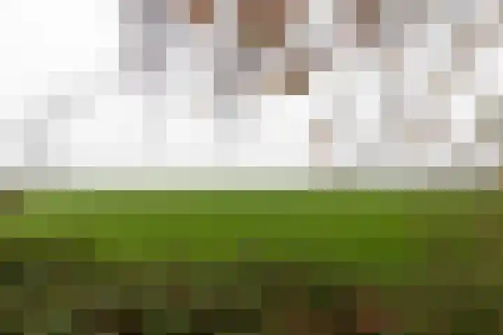 Dorpsweg 127 F Twisk thumbnail 31