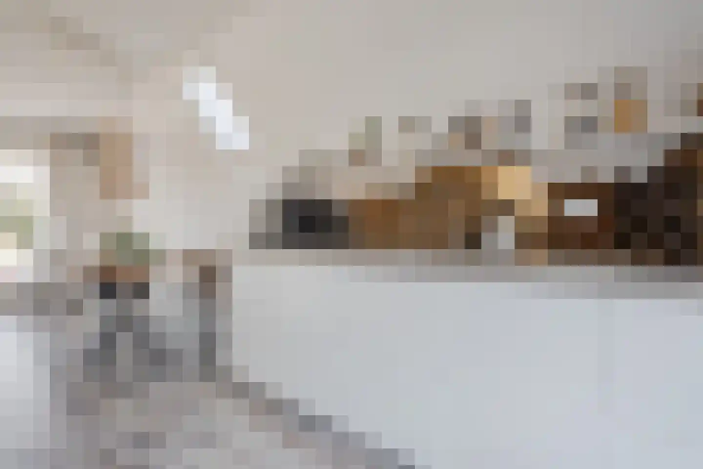 Dorpsweg 129 A hs34 Schellinkhout thumbnail 14
