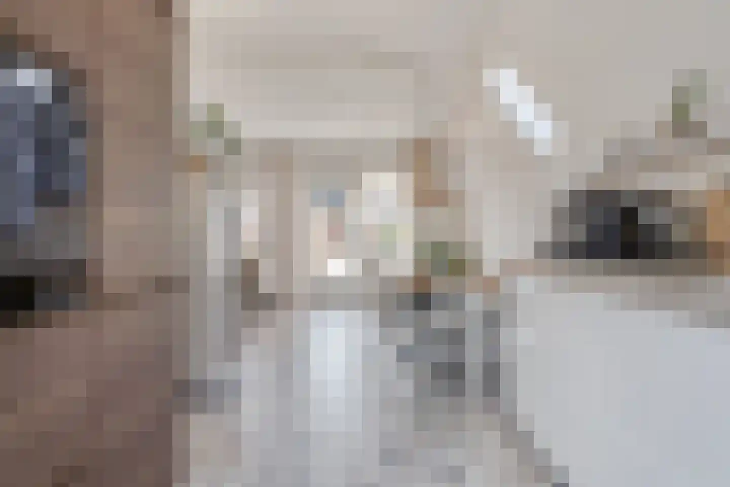 Dorpsweg 129 A hs34 Schellinkhout thumbnail 15